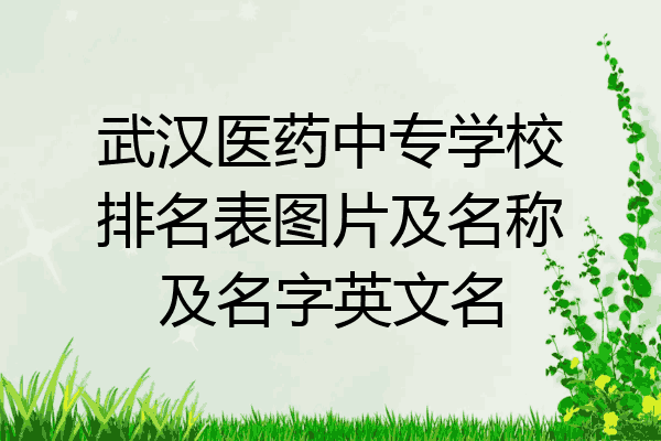 武汉医药中专学校排名表图片及名称及名字英文名