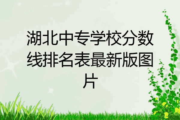 湖北中专学校分数线排名表最新版图片