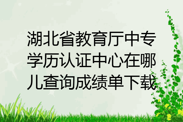 湖北省教育厅中专学历认证中心在哪儿查询成绩单下载