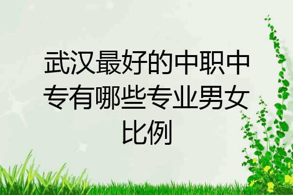 武汉最好的中职中专有哪些专业男女比例