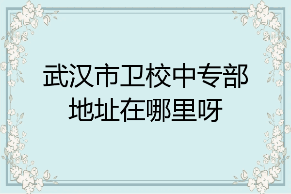 武汉市卫校中专部地址在哪里呀