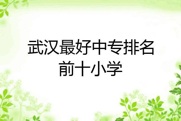 武汉最好中专排名前十小学