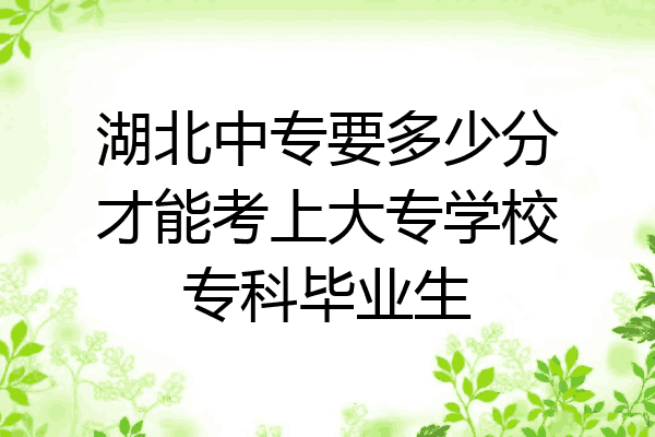 湖北中专要多少分才能考上大专学校专科毕业生