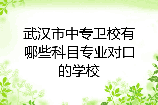 武汉市中专卫校有哪些科目专业对口的学校