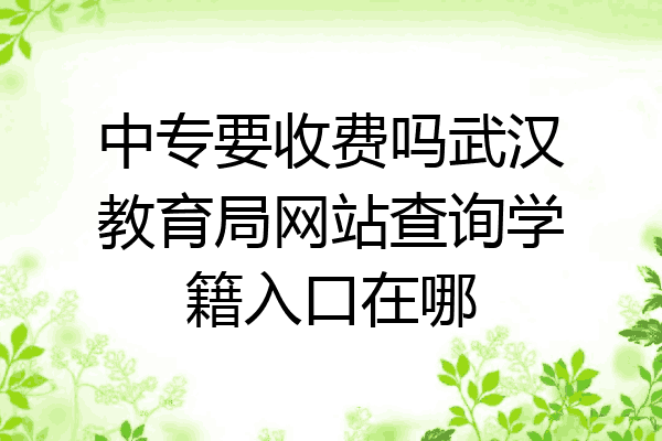 中专要收费吗武汉教育局网站查询学籍入口在哪