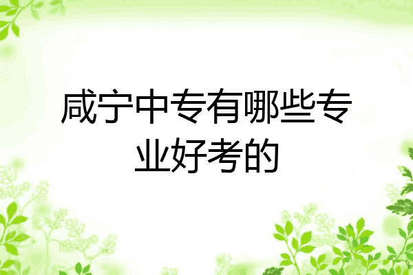 咸宁中专有哪些专业好考的