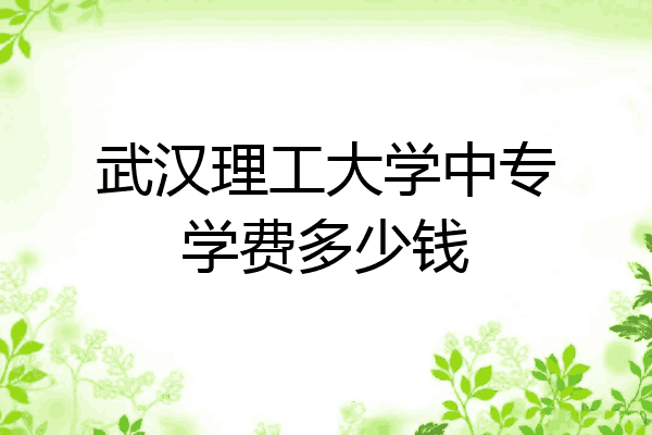 武汉理工大学中专学费多少钱