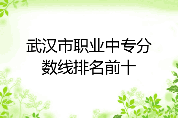 武汉市职业中专分数线排名前十