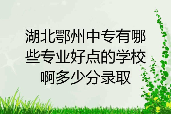 湖北鄂州中专有哪些专业好点的学校啊多少分录取