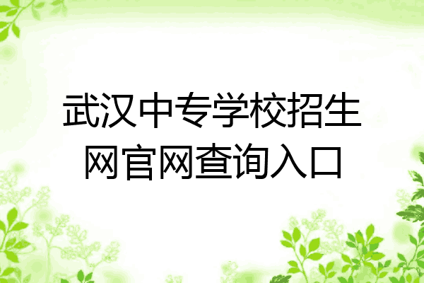 武汉中专学校招生网官网查询入口