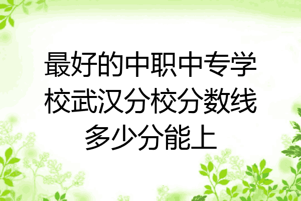 最好的中职中专学校武汉分校分数线多少分能上