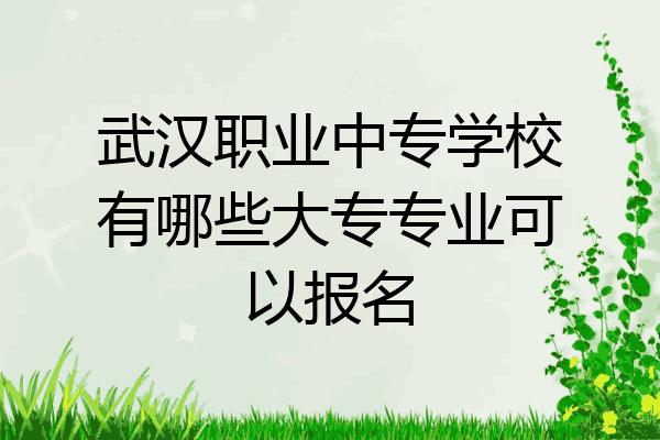 武汉职业中专学校有哪些大专专业可以报名