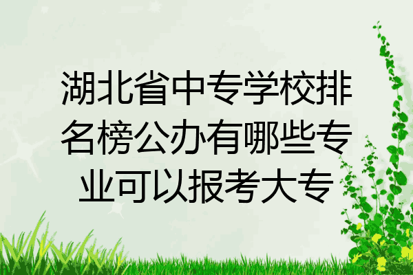 湖北省中专学校排名榜公办有哪些专业可以报考大专