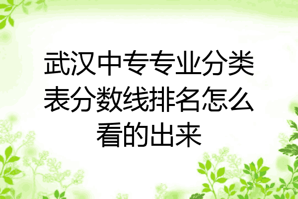 武汉中专专业分类表分数线排名怎么看的出来