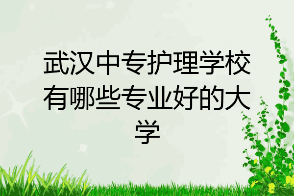 武汉中专护理学校有哪些专业好的大学