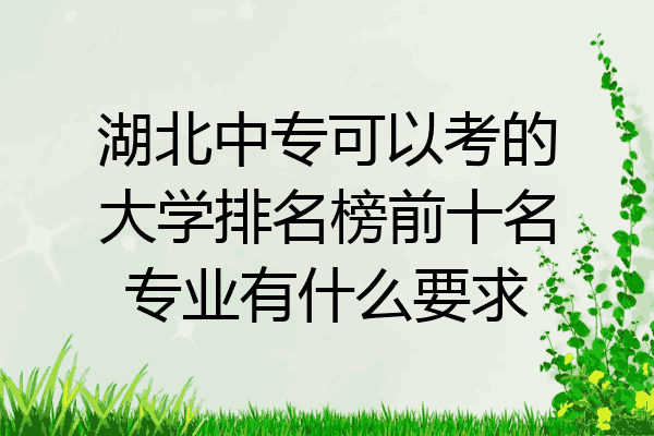 湖北中专可以考的大学排名榜前十名专业有什么要求
