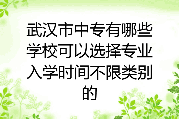 武汉市中专有哪些学校可以选择专业入学时间不限类别的