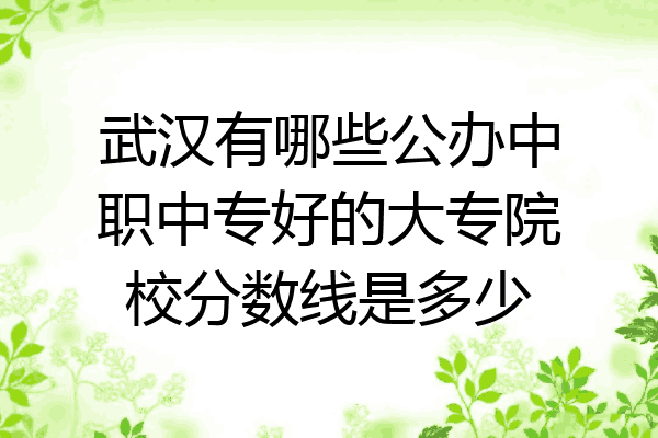 武汉有哪些公办中职中专好的大专院校分数线是多少