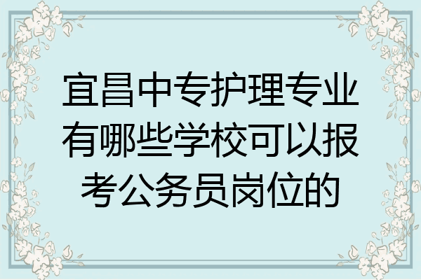 宜昌中专护理专业有哪些学校可以报考公务员岗位的