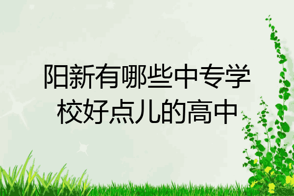 阳新有哪些中专学校好点儿的高中