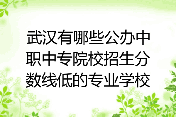武汉有哪些公办中职中专院校招生分数线低的专业学校