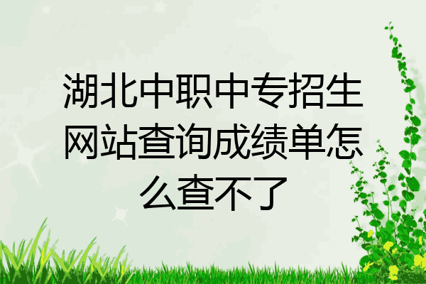 湖北中职中专招生网站查询成绩单怎么查不了