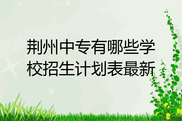 荆州中专有哪些学校招生计划表最新