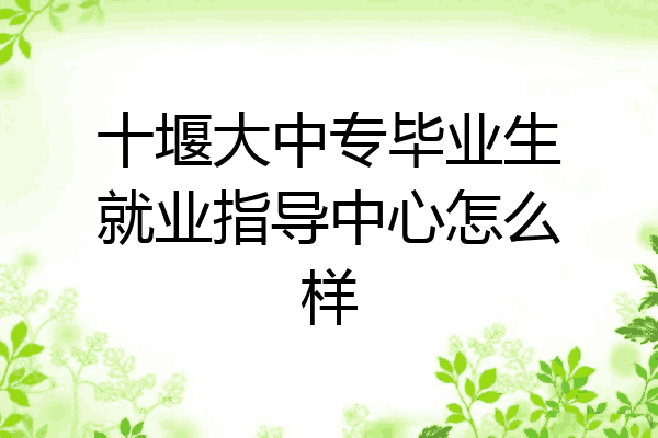 十堰大中专毕业生就业指导中心怎么样