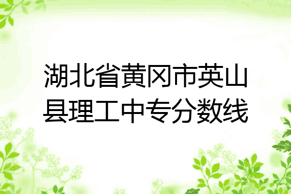 湖北省黄冈市英山县理工中专分数线