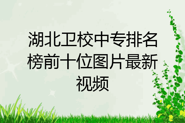 湖北卫校中专排名榜前十位图片最新视频
