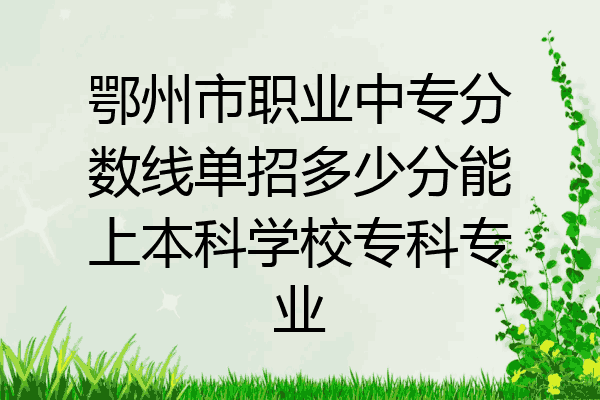 鄂州市职业中专分数线单招多少分能上本科学校专科专业