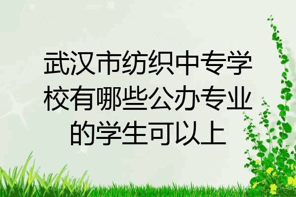 武汉市纺织中专学校有哪些公办专业的学生可以上