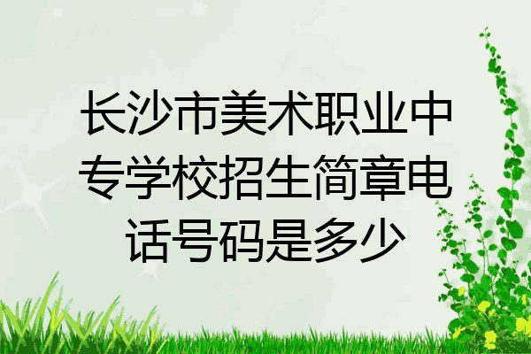 长沙市美术职业中专学校招生简章电话号码是多少