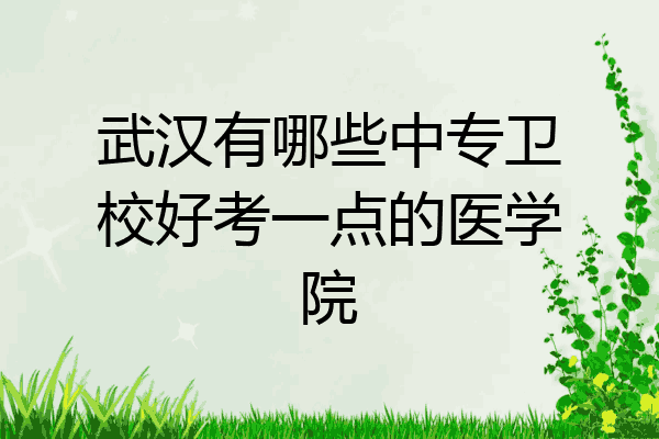 武汉有哪些中专卫校好考一点的医学院