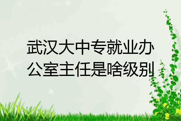 武汉大中专就业办公室主任是啥级别