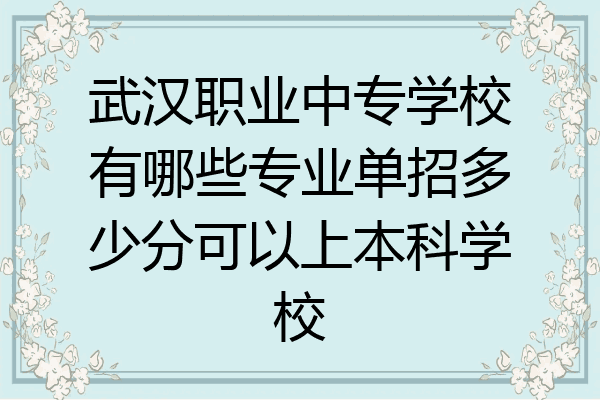武汉职业中专学校有哪些专业单招多少分可以上本科学校