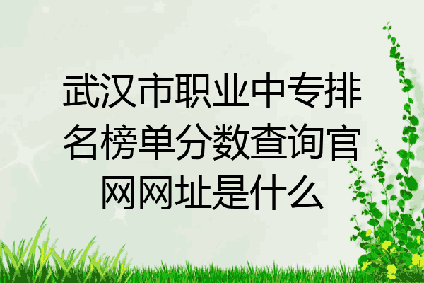 武汉市职业中专排名榜单分数查询官网网址是什么