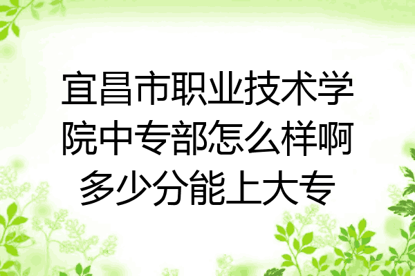 宜昌市职业技术学院中专部怎么样啊多少分能上大专