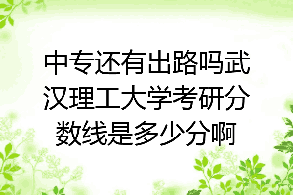 中专还有出路吗武汉理工大学考研分数线是多少分啊