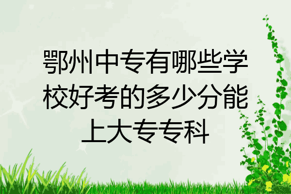 鄂州中专有哪些学校好考的多少分能上大专专科