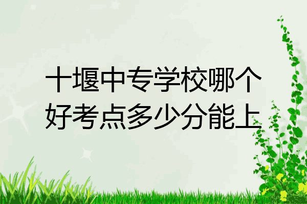十堰中专学校哪个好考点多少分能上