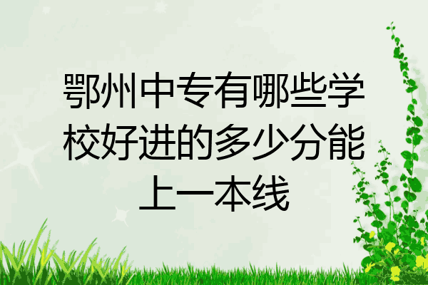 鄂州中专有哪些学校好进的多少分能上一本线
