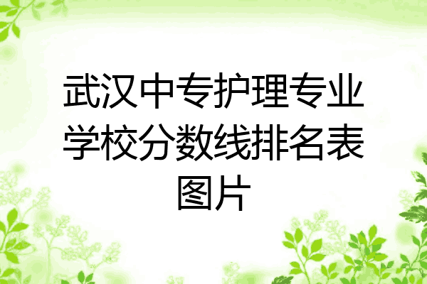 武汉中专护理专业学校分数线排名表图片