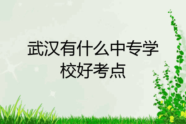 武汉有什么中专学校好考点