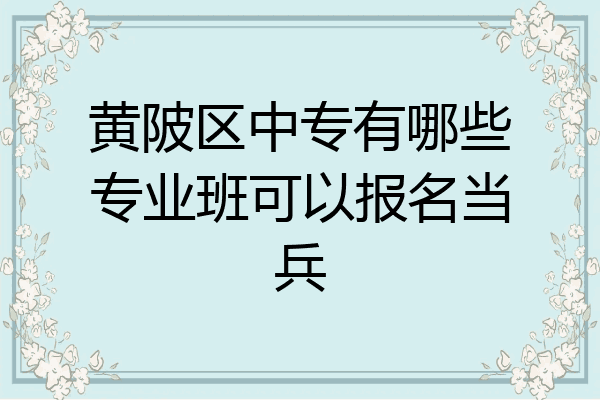 黄陂区中专有哪些专业班可以报名当兵