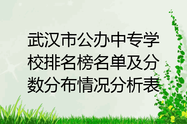 武汉市公办中专学校排名榜名单及分数分布情况分析表