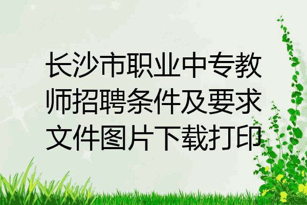 长沙市职业中专教师招聘条件及要求文件图片下载打印