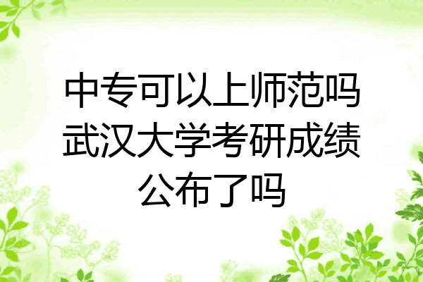 中专可以上师范吗武汉大学考研成绩公布了吗