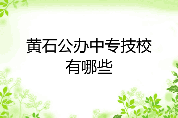 黄石公办中专技校有哪些