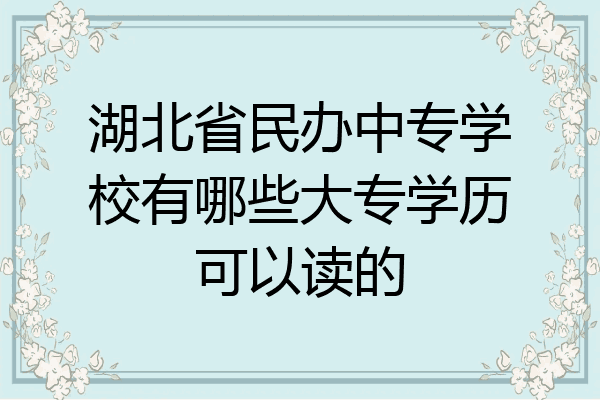 湖北省民办中专学校有哪些大专学历可以读的